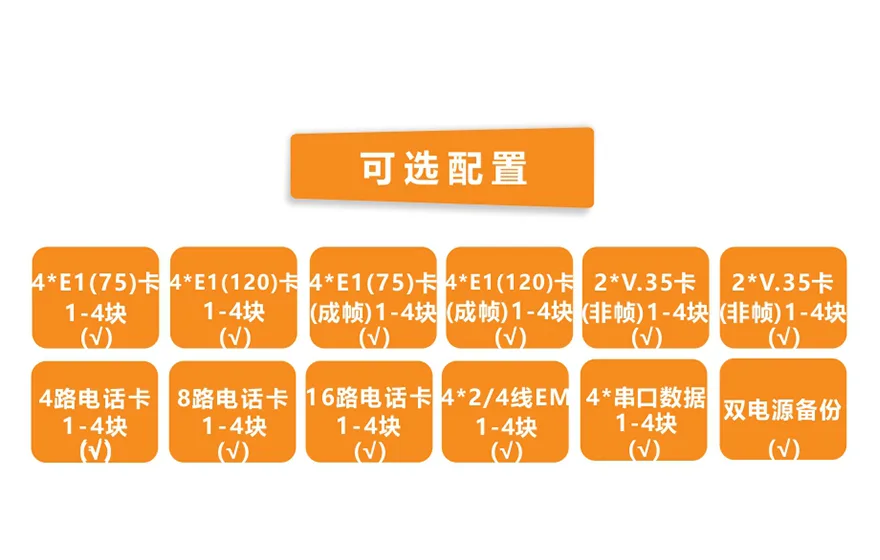 模块化多业务 TDM Over IP 电路仿真网关