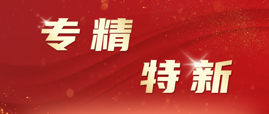 创新引领，荣登2023浙江专精特新中小企业之巅